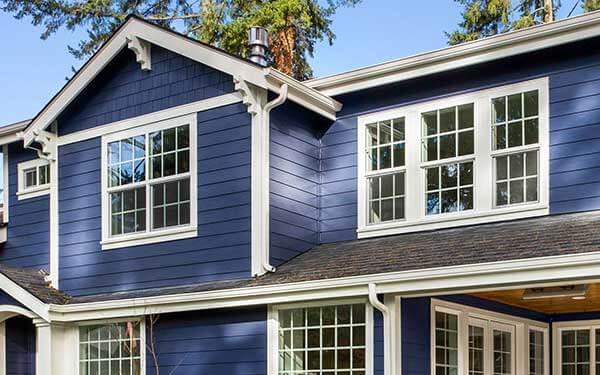 Single Hung and Double Hung Windows